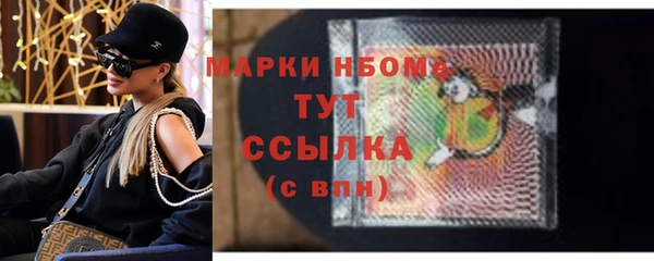 стаф Осинники