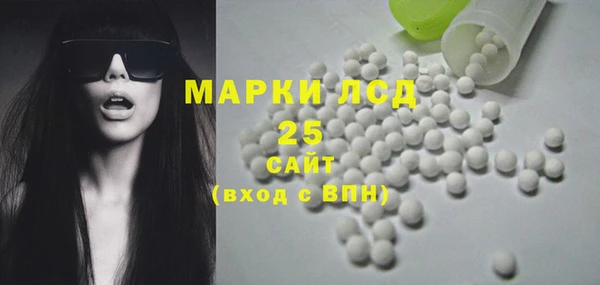 индика Алексин