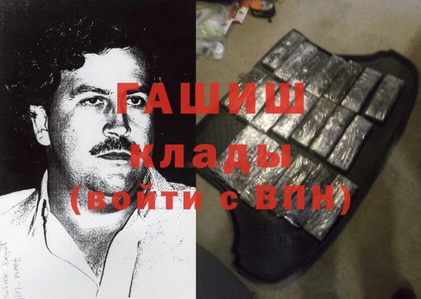 индика Алексин