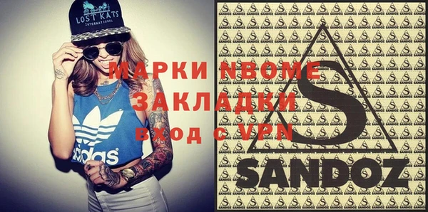 индика Алексин